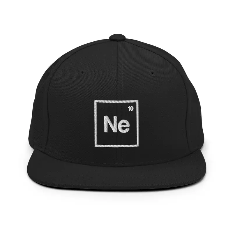 NE LOGO SNAPBACK